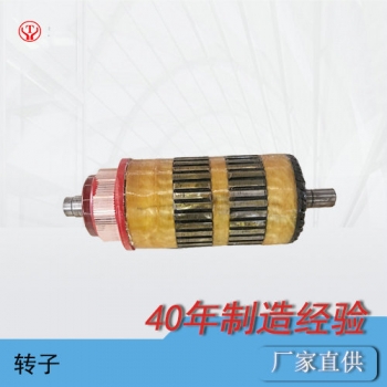 ZQ-7(新3噸機(jī)車)直流牽引電機(jī)電樞