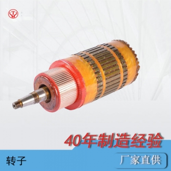 內蒙古ZQ-1.9輔助直流牽引電機電樞(250V,550V)